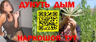 молекула духа Краснознаменск